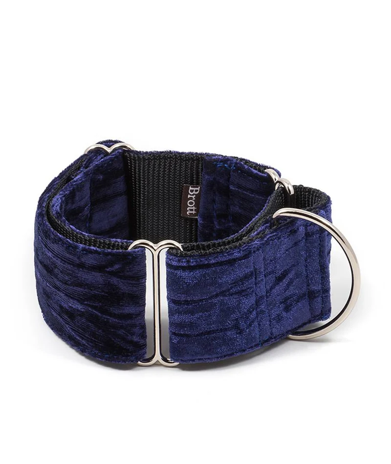 Collar para perro Buseu