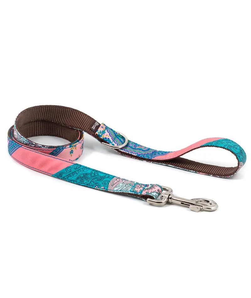Collar para Galgo Liris