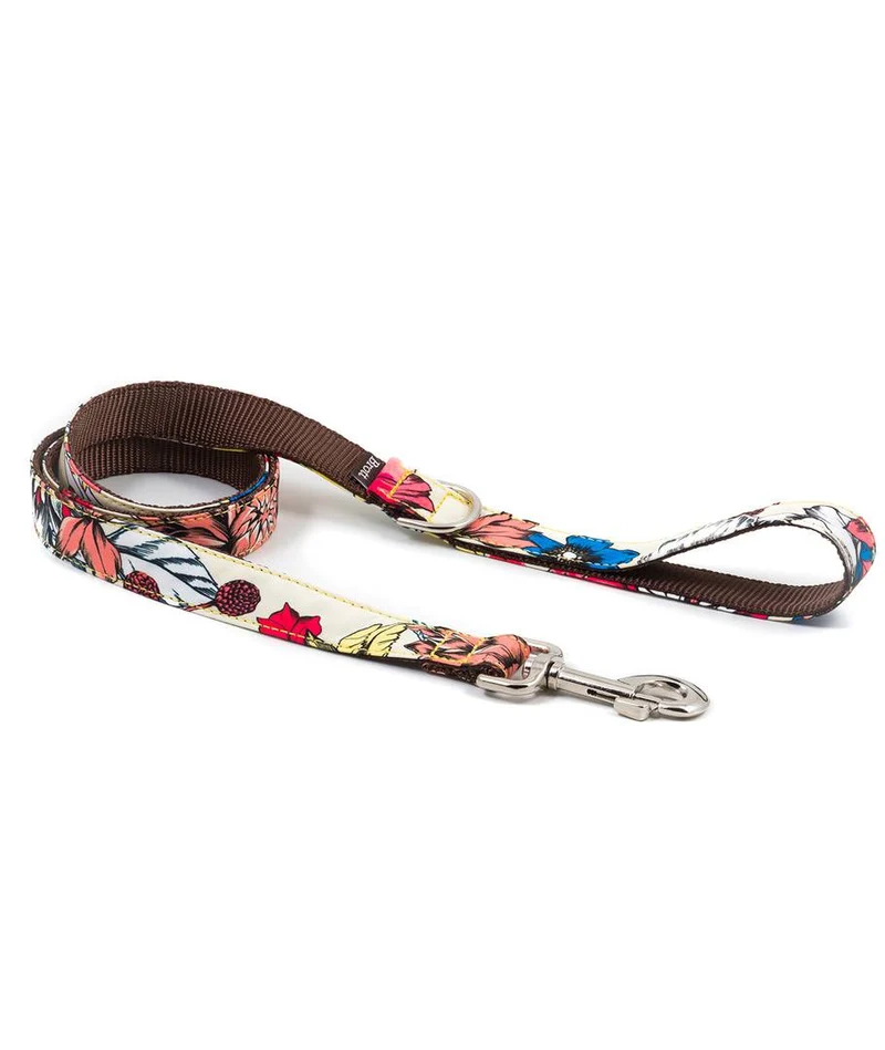 Collar para Galgo Belladona