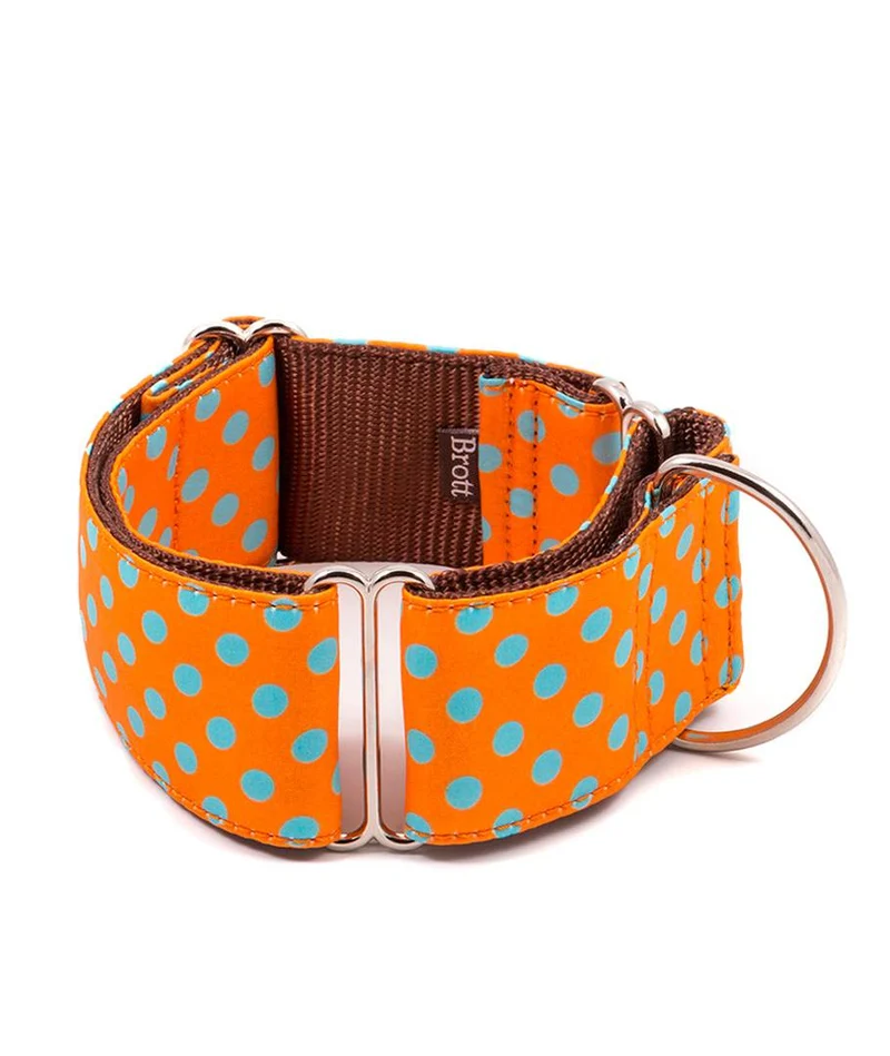 Collar para perro Pola