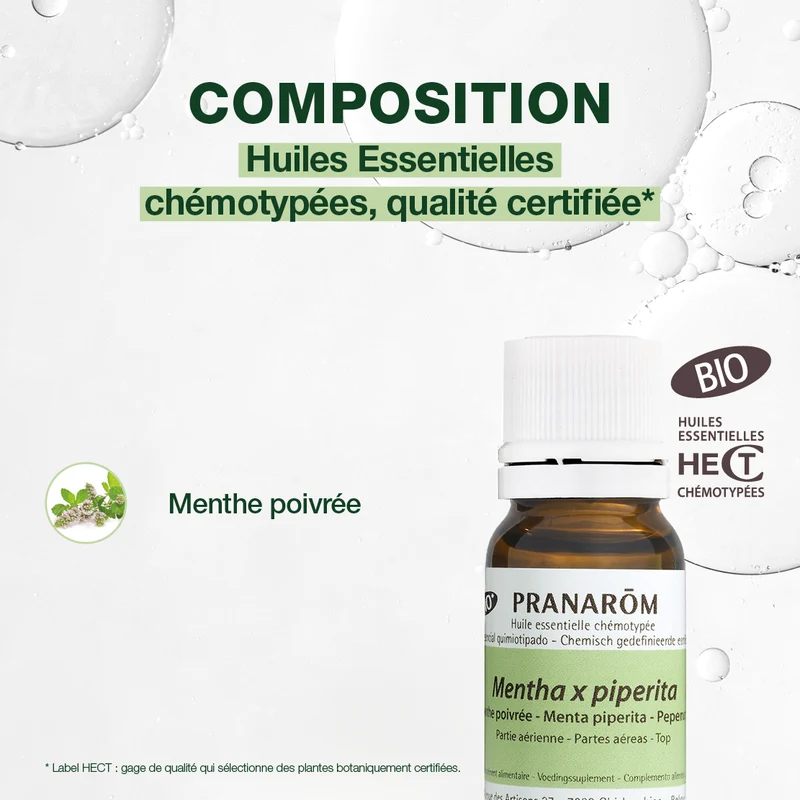 Huile Essentielle de Menthe poivrée - Bio