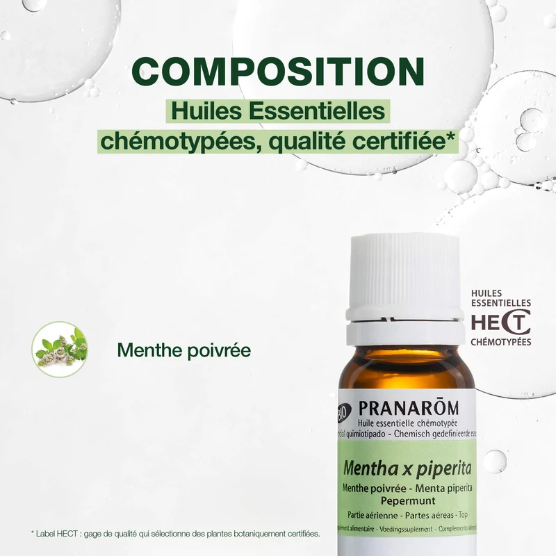 Huile Essentielle de Menthe poivrée - Bio