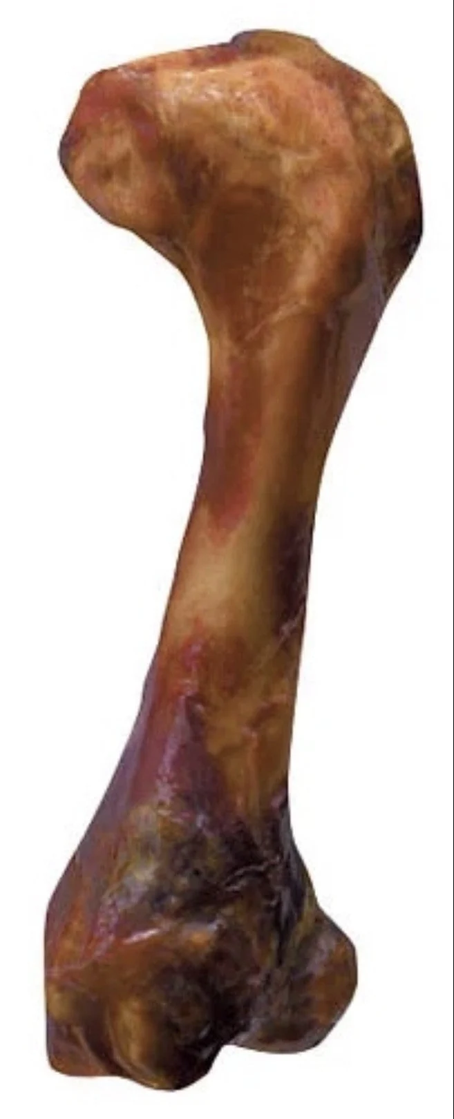 Zolux Os de jambon pour chien 2 pièces