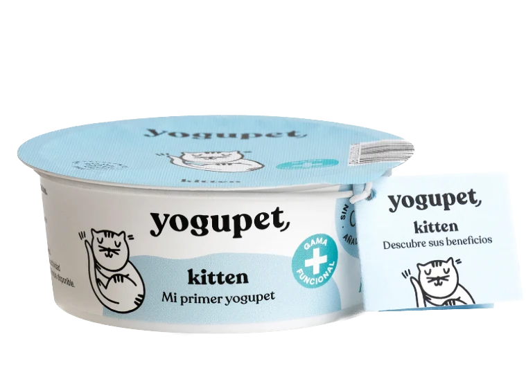 Yaourt chaton -Yogupet (chat)