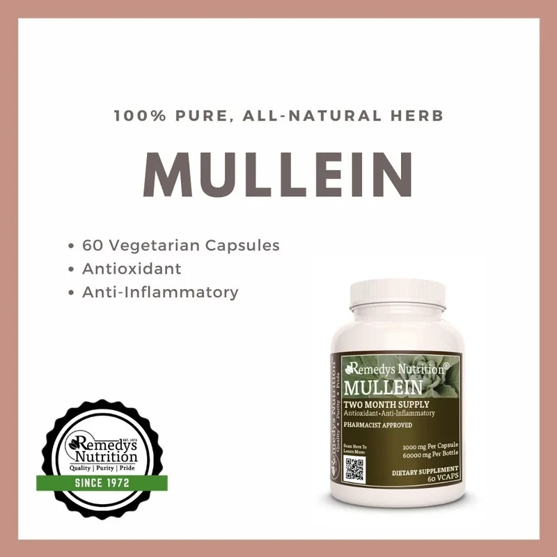 Feuille de molène 1000 mg 60 capsules végétaliennes