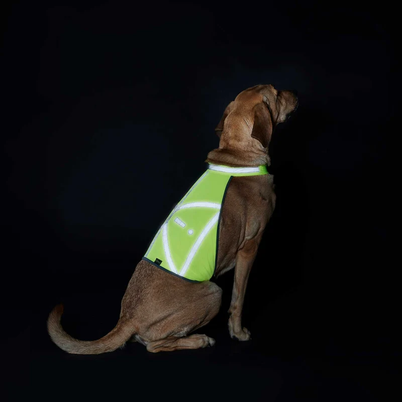 Warnweste für Hunde