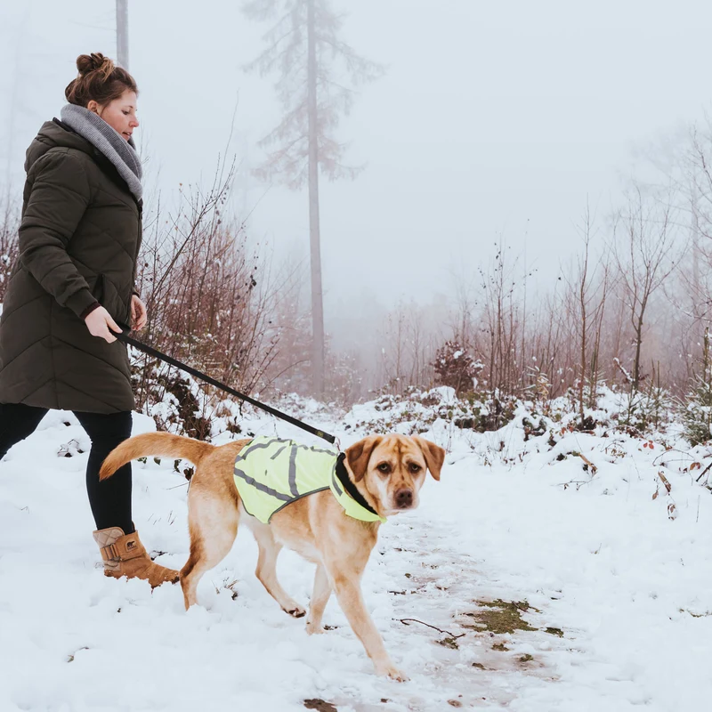 Warnweste für Hunde