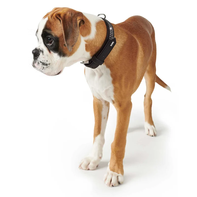 Halsband Softie Triluxe