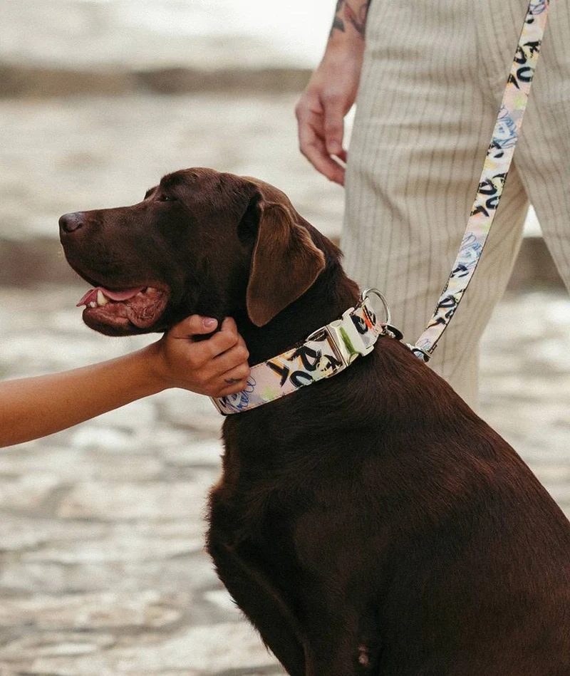 Collar para perro Penelles