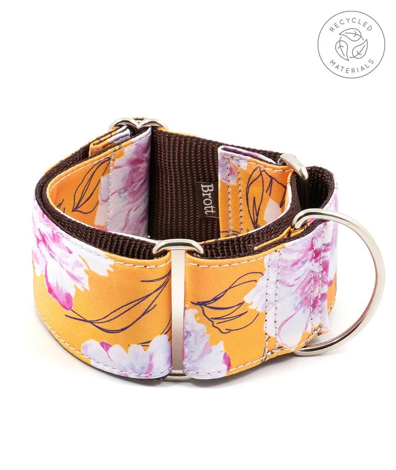 Collar para perro Teia
