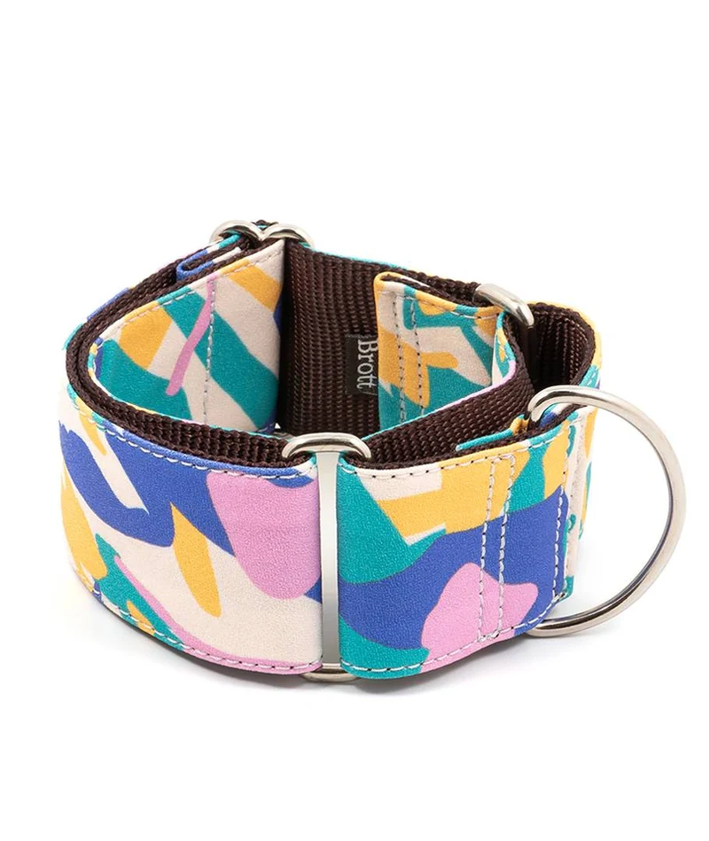 Collar para perro Montroig