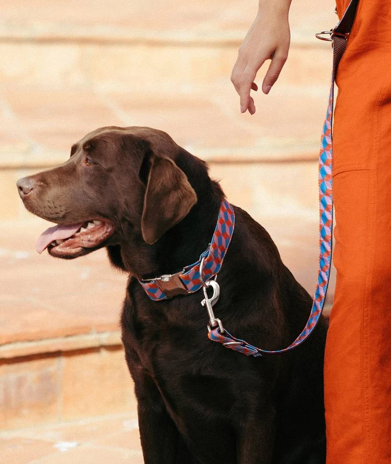 Collar para perro Satuna