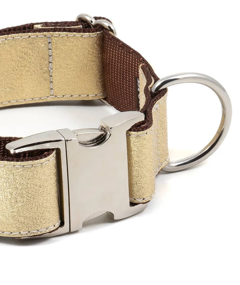Collar para perro Sadurni