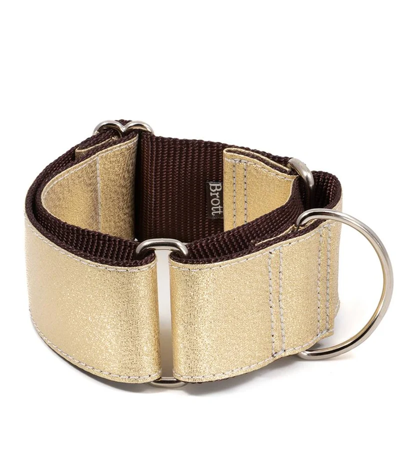 Collar para perro Sadurni