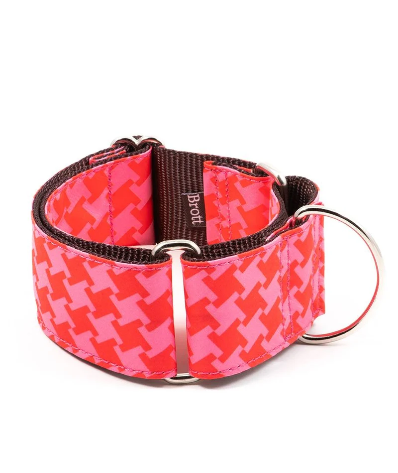 Collar para perro Miralles