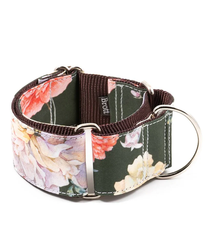 Collar para perro Espelt
