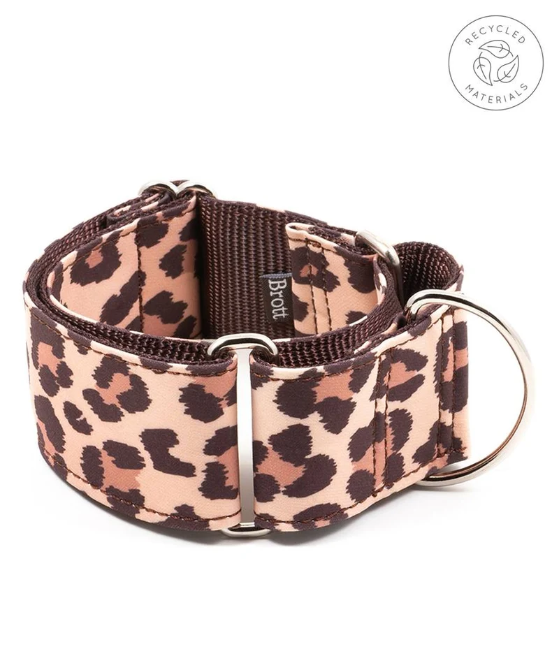 Collar para perro Copons