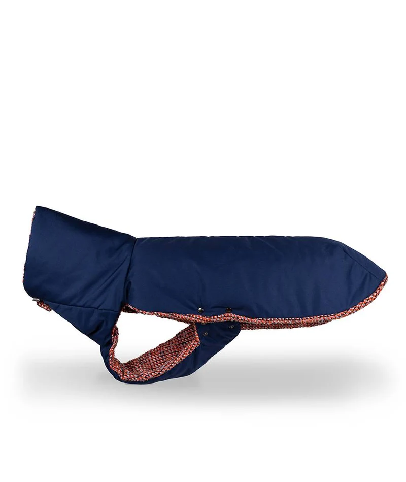 Abrigo de Invierno para Galgo Blue & Martinet