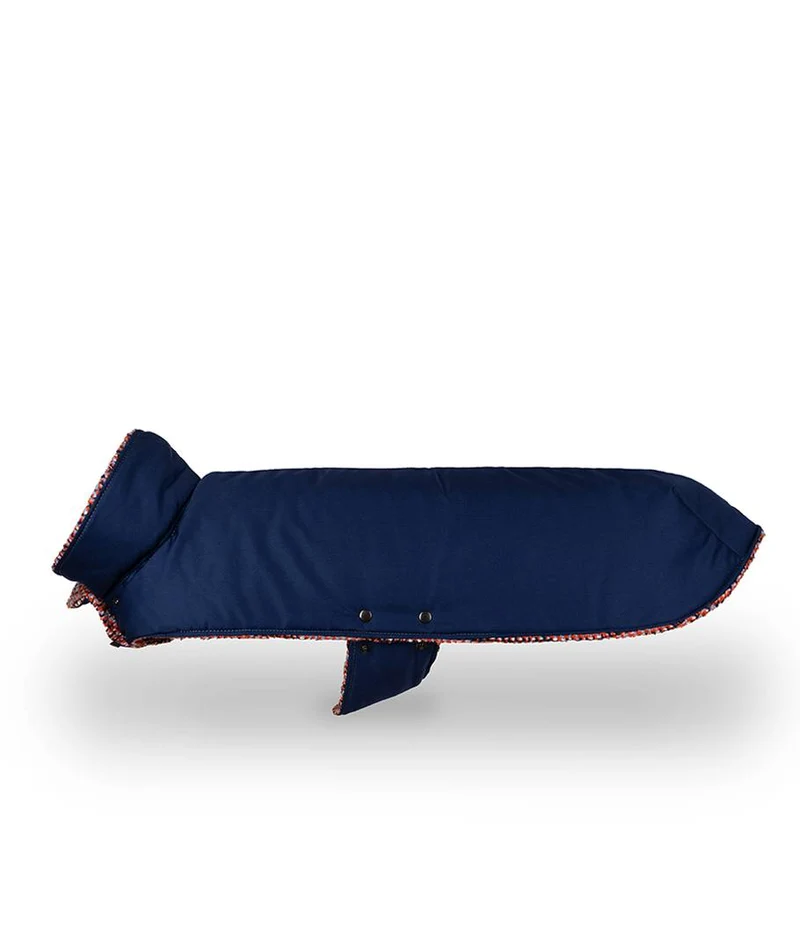 Abrigo para Galgo Blue & Martinet