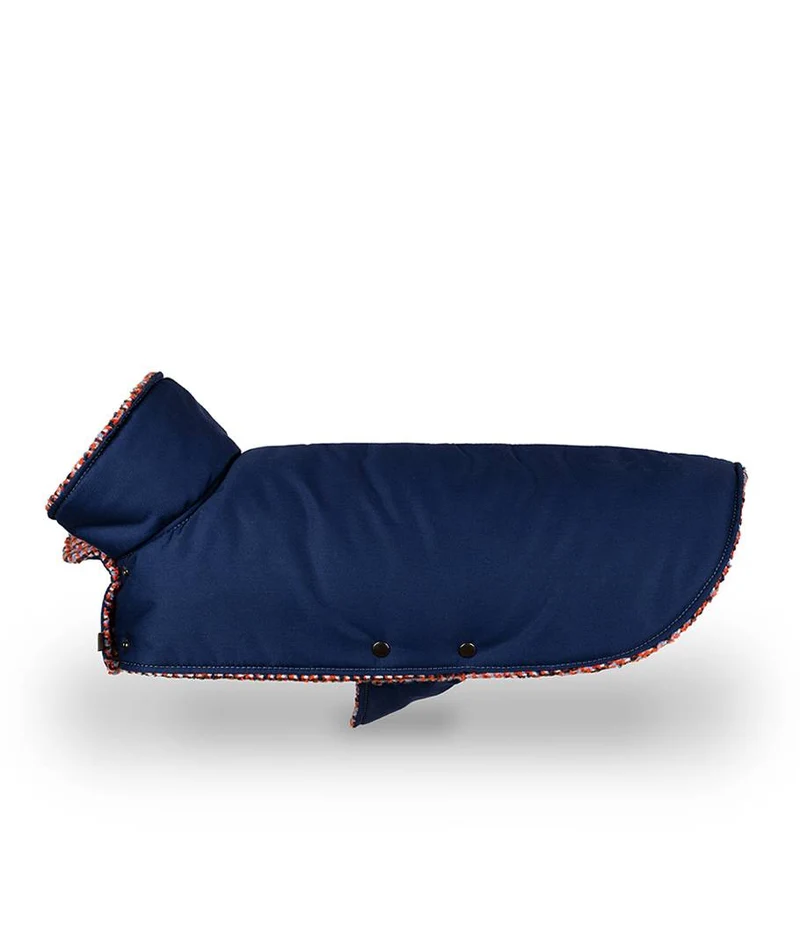 Abrigo para perro Blue & Martinet