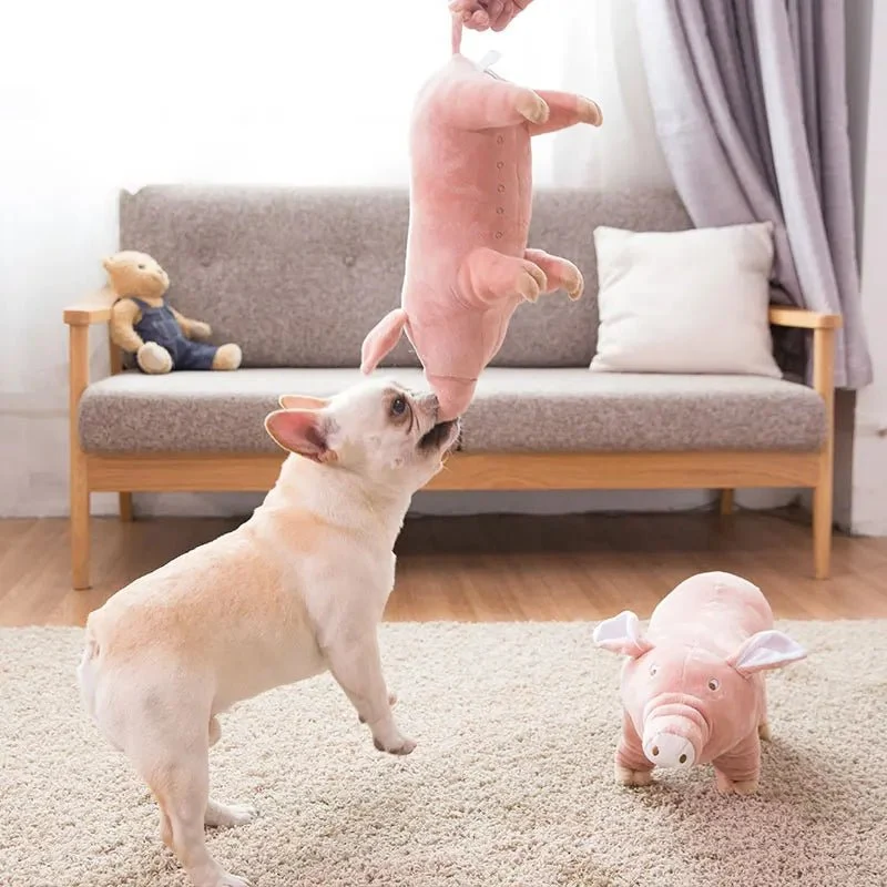 Jouet chiot bouledogue français