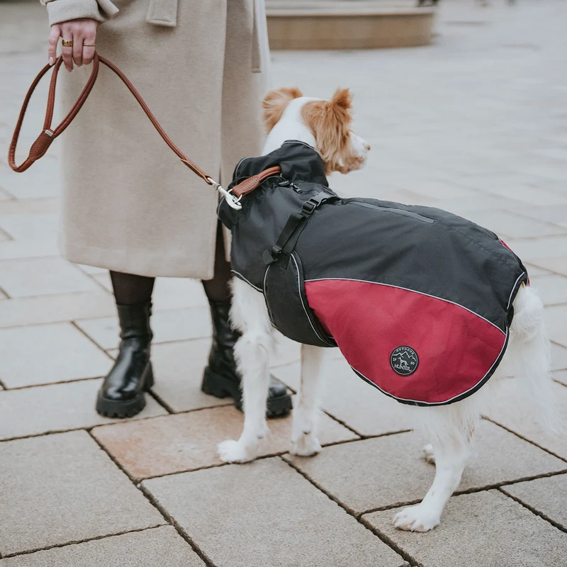 Hundemantel Uppsala Cozy