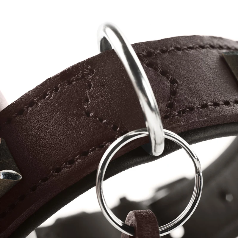 Halsband Larvik