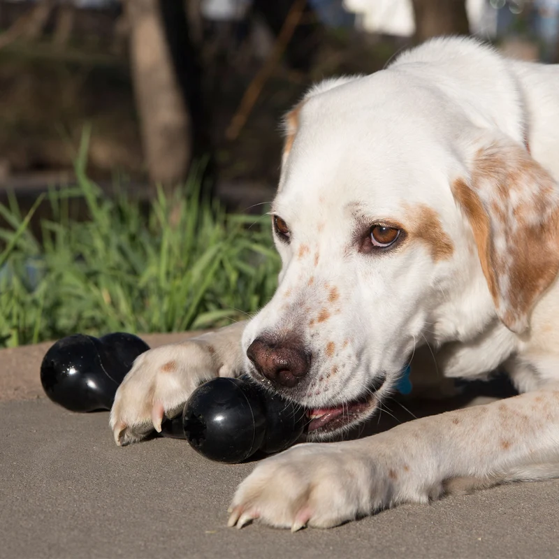 Hundespielzeug KONG® Extreme Goodie Bone™