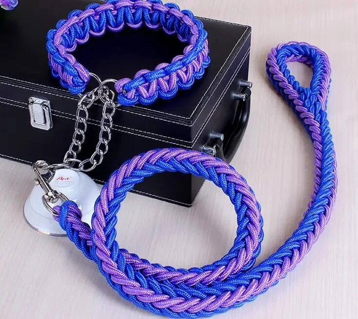 Laisse chien corde tressée