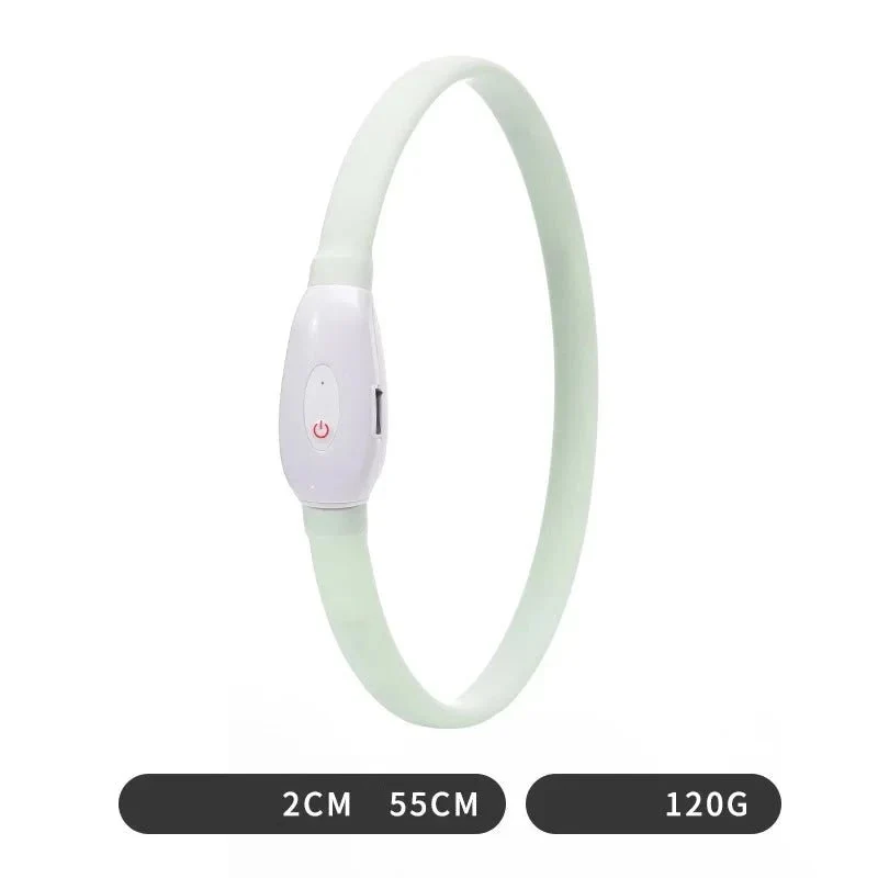 Collier lumineux chiot