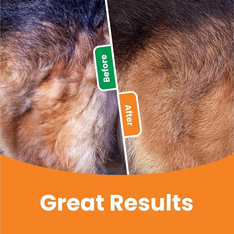 Brosse sous-poil chien professionnel