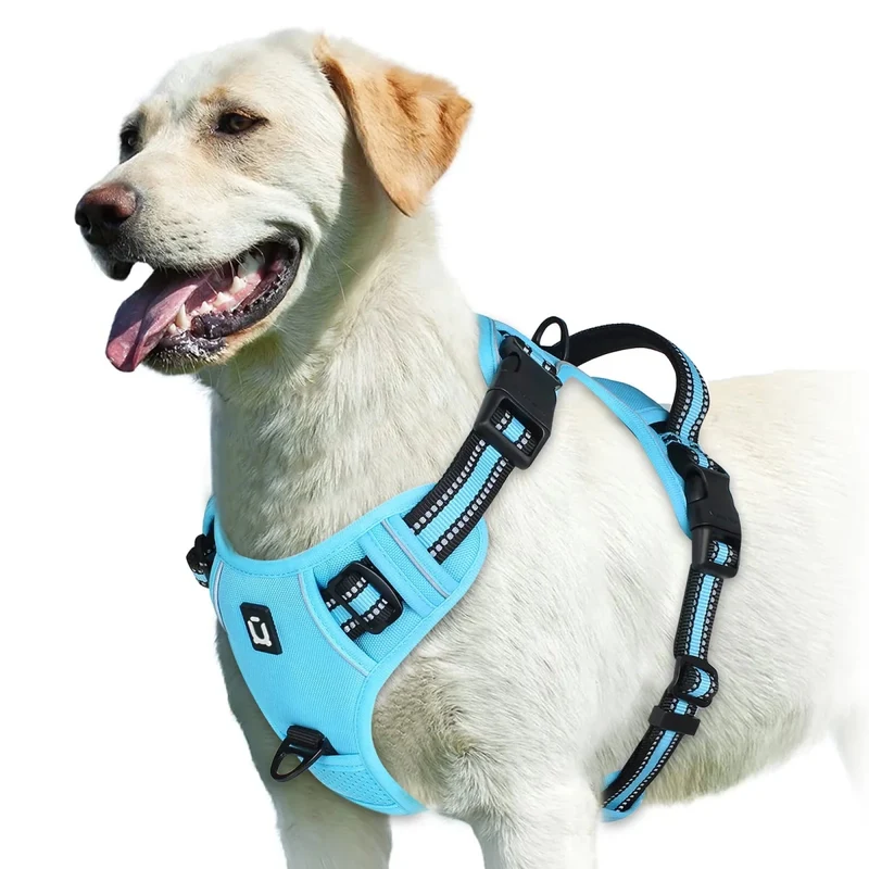 Harnais bouclier pour gros chien