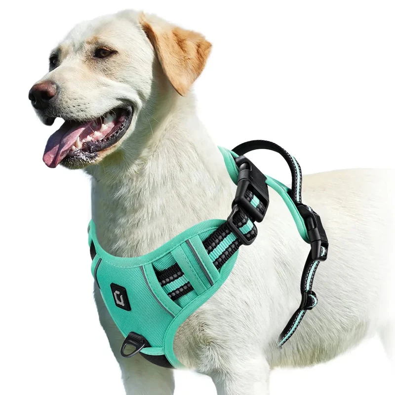 Harnais bouclier pour gros chien