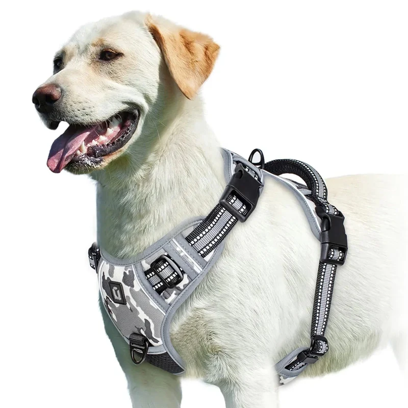 Harnais bouclier pour gros chien