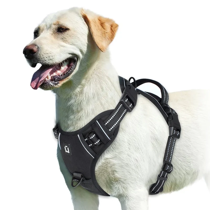 Harnais bouclier pour gros chien