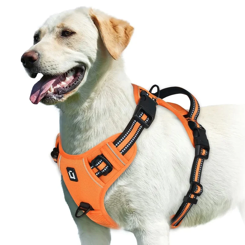 Harnais bouclier pour gros chien