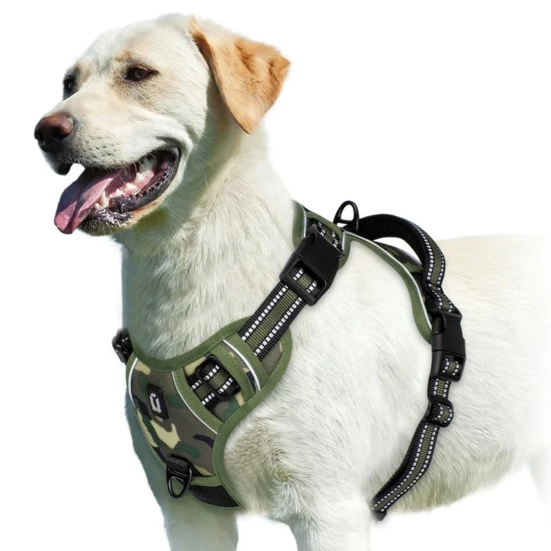 Harnais bouclier pour gros chien