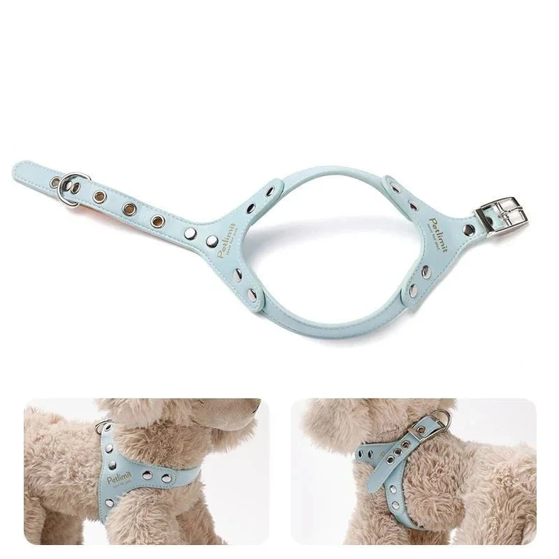 Harnais de luxe pour petit chien