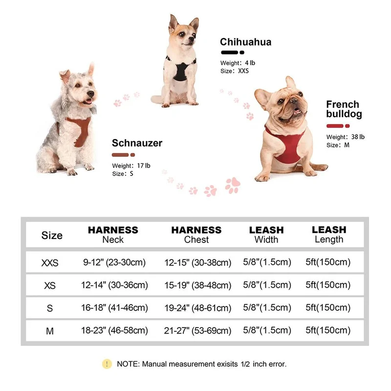 Harnais en cuir pour petit chien