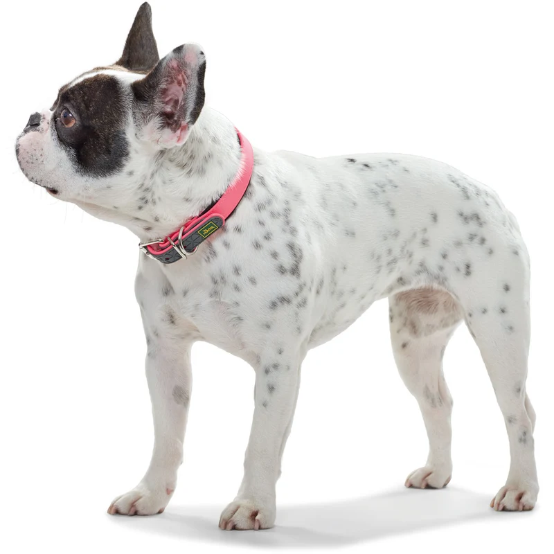 Halsband Convenience Comfort