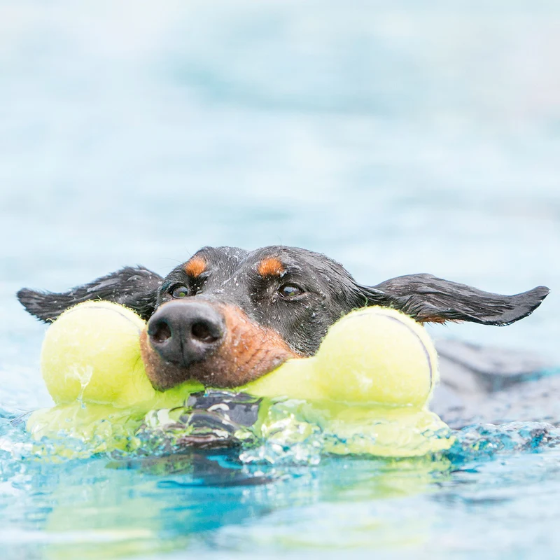 Hundespielzeug KONG® AirDog® Squeaker Bone