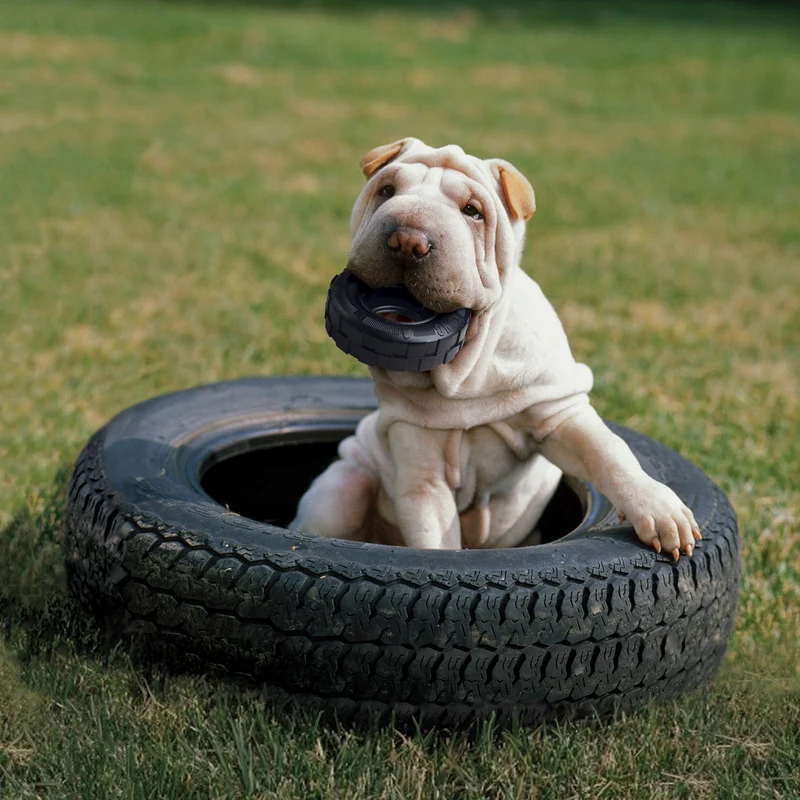 Hundespielzeug KONG® Tyres™