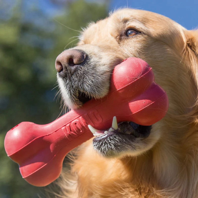 Hundespielzeug KONG® Goodie Bone™