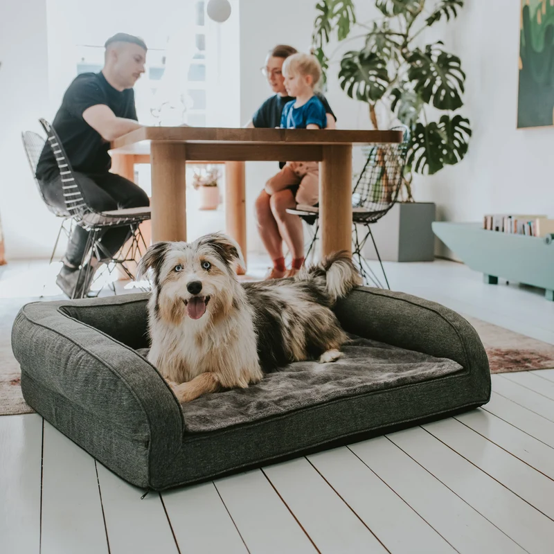 Orthopädisches/Ergonomisches Hundesofa Livingston