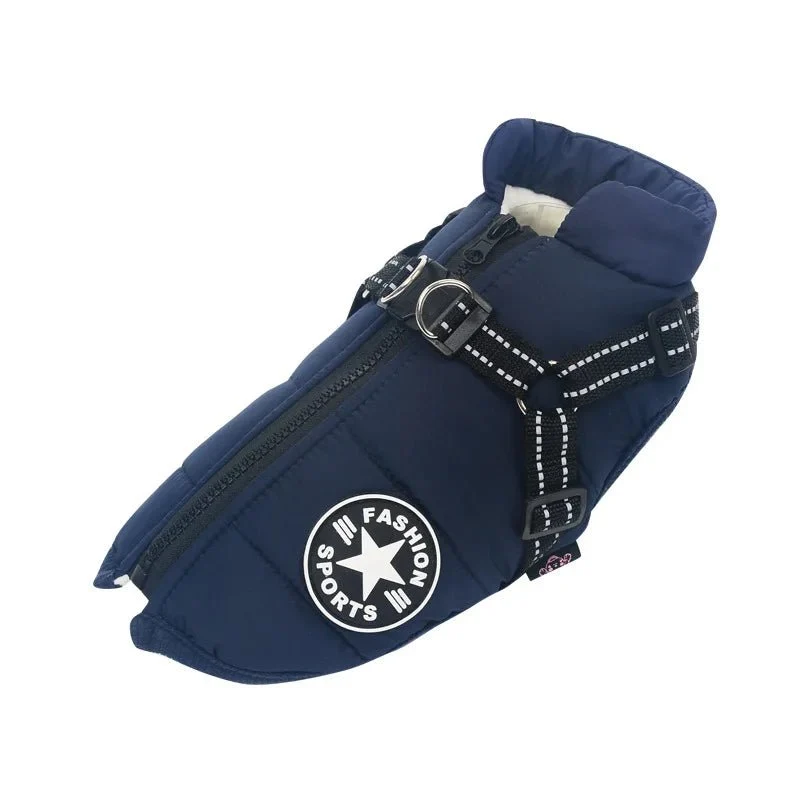 Manteau pour petit chien avec harnais intégré