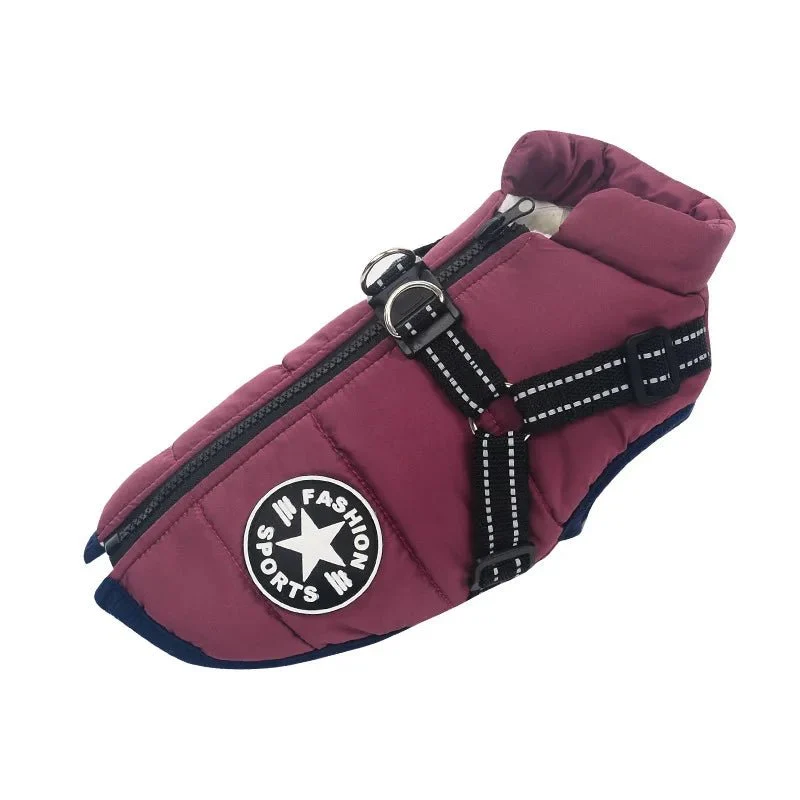 Manteau pour petit chien avec harnais intégré