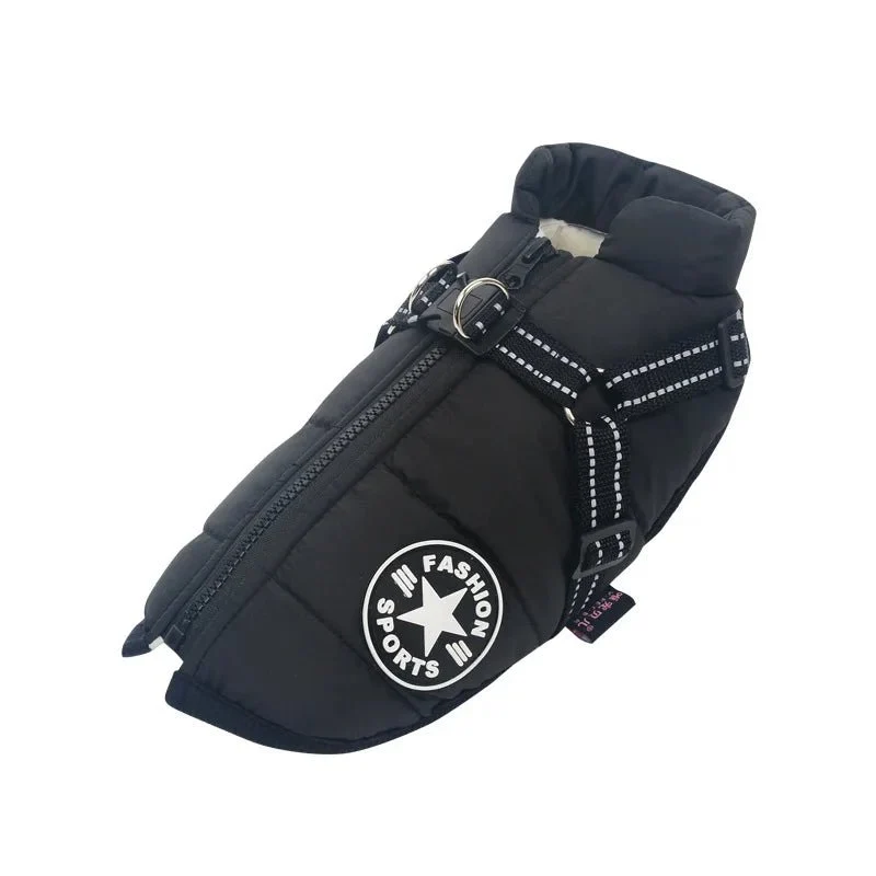 Manteau pour petit chien avec harnais intégré