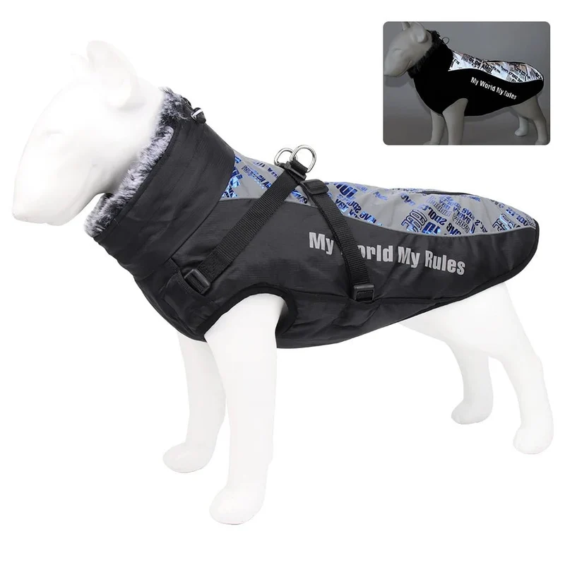 Harnais gros chien hiver