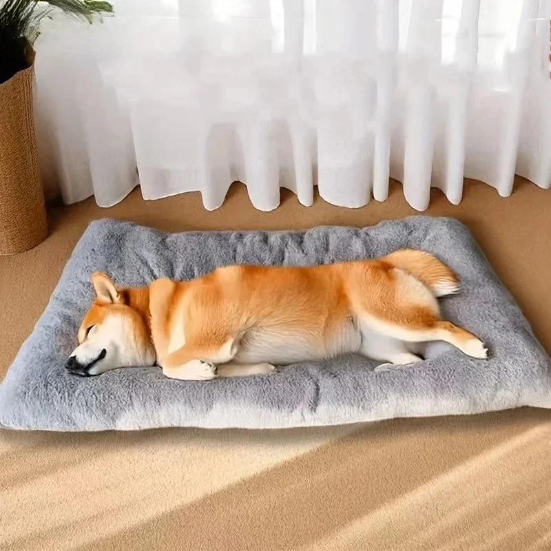 Panier pour chien xxl déhoussable