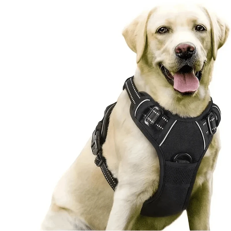 Harnais pas cher pour gros chien